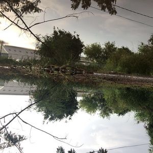 Meet your Posher, Kia